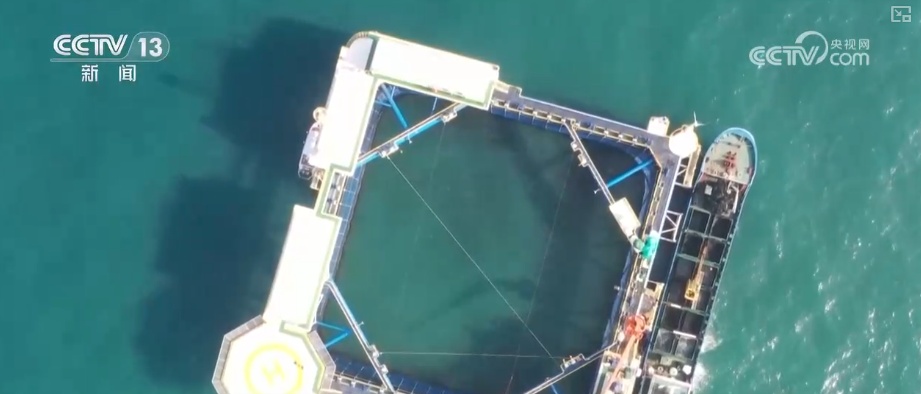 “智慧化养殖+保姆式服务”加速丰盈“蓝色粮仓” 海洋经济释放强劲动能