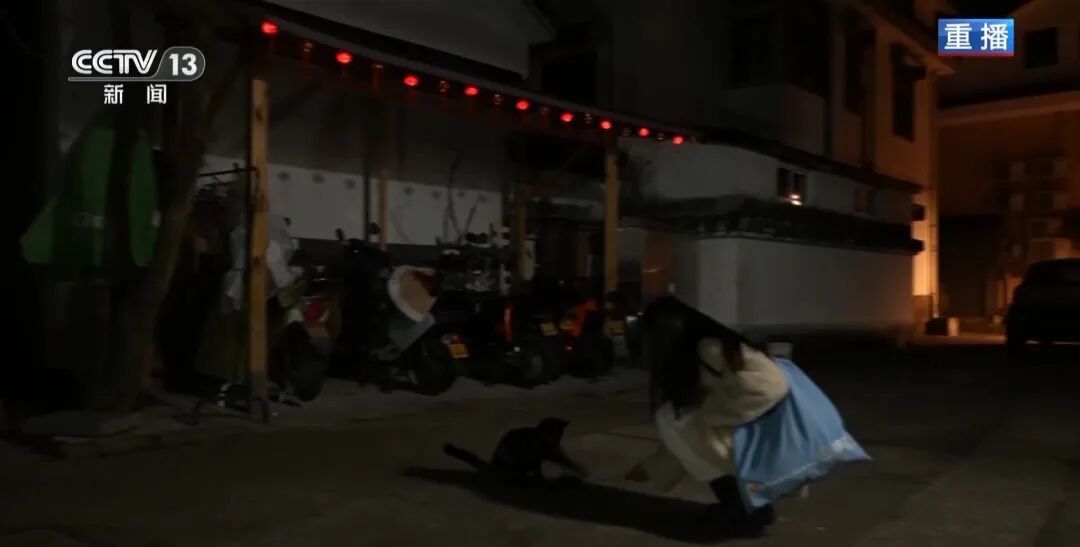 “兔子警官”李语蔚，当选！