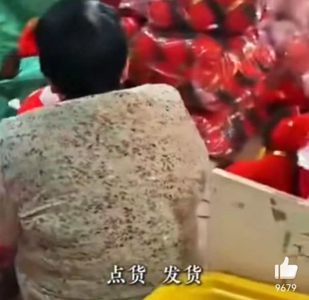 “哭哭马”意外走红！网友：真是马“倒”成功了