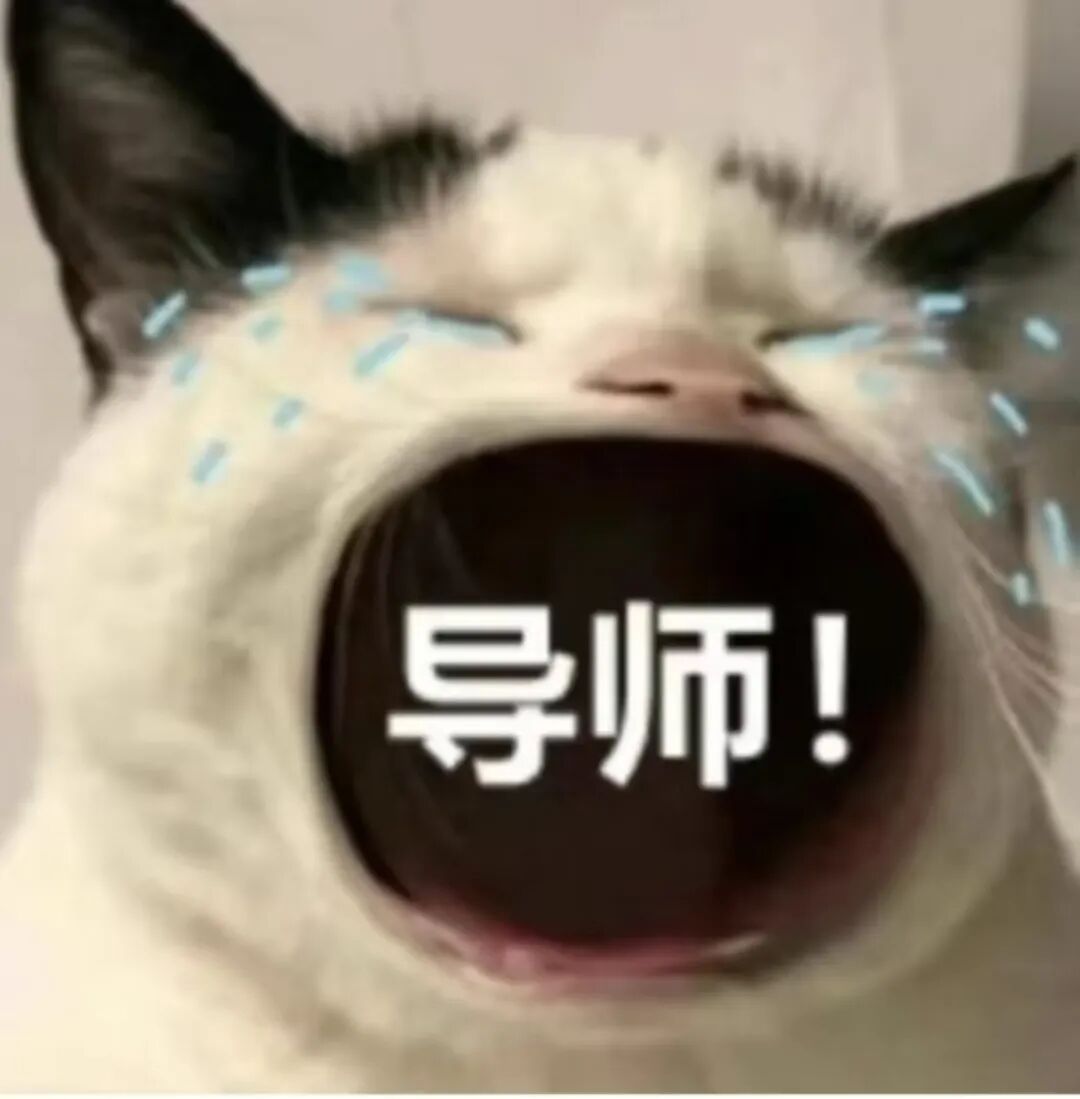 同学,“你现在的图片……偏丑” 同学,“你现在的图片……偏丑”