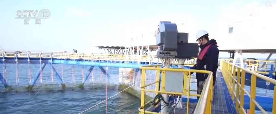 “智慧化养殖+保姆式服务”加速丰盈“蓝色粮仓” 海洋经济释放强劲动能