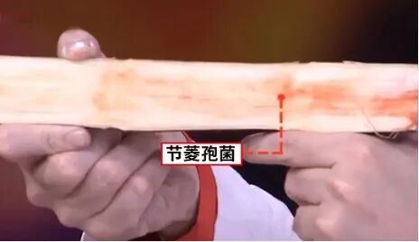 国家气象中心确认暖冬！这种“平价养生果”要多吃