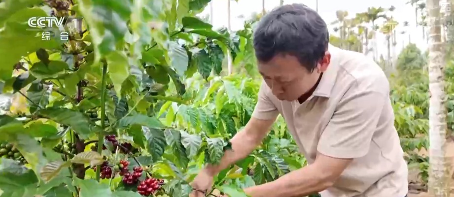 签订单、增投资，火热！海南各行业抢抓封关后政策新机遇开辟发展新热土