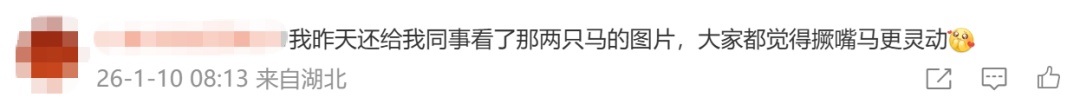“哭哭马”意外走红,网友:真是“马倒成功”了 “哭哭马”意外走红,网友:真是“马倒成功”了