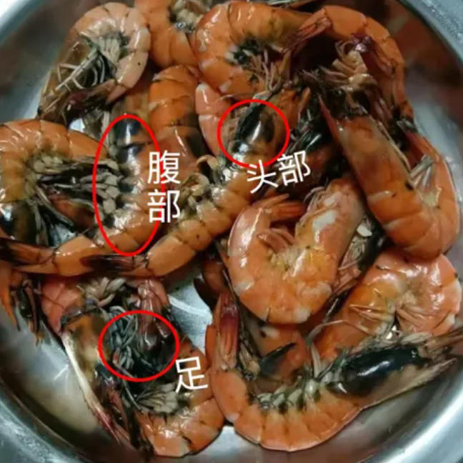 变黑的虾还能吃吗?这种“黑虾”千万别吃 变黑的虾还能吃吗?这种“黑虾”千万别吃