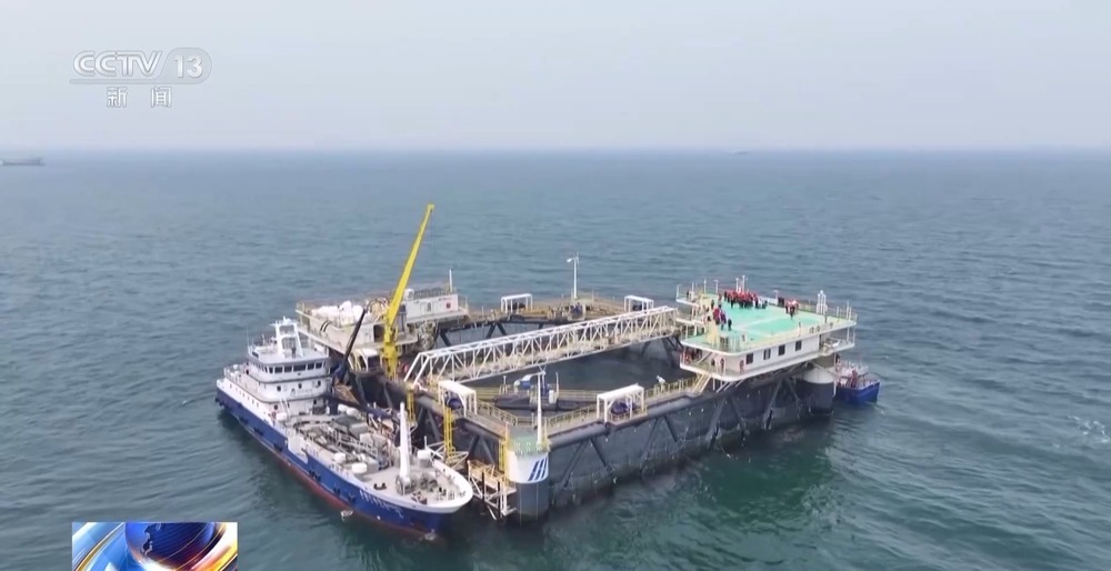 “十五五”开好局 起好步丨上百万尾鱼苗跨越山海 “蓝色粮仓”加速丰盈