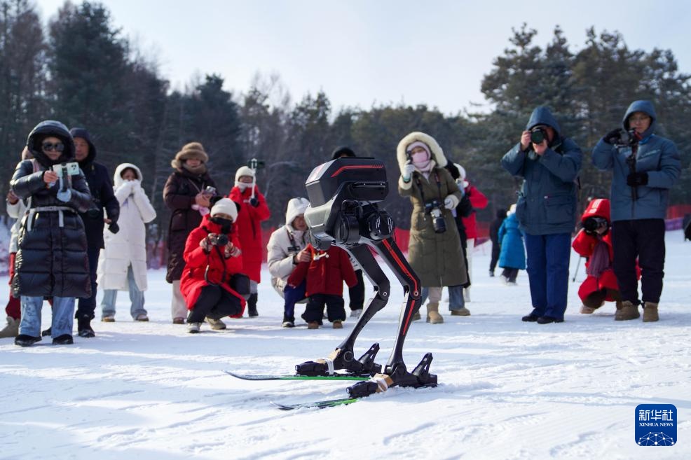长春：机器人竞技冰雪中