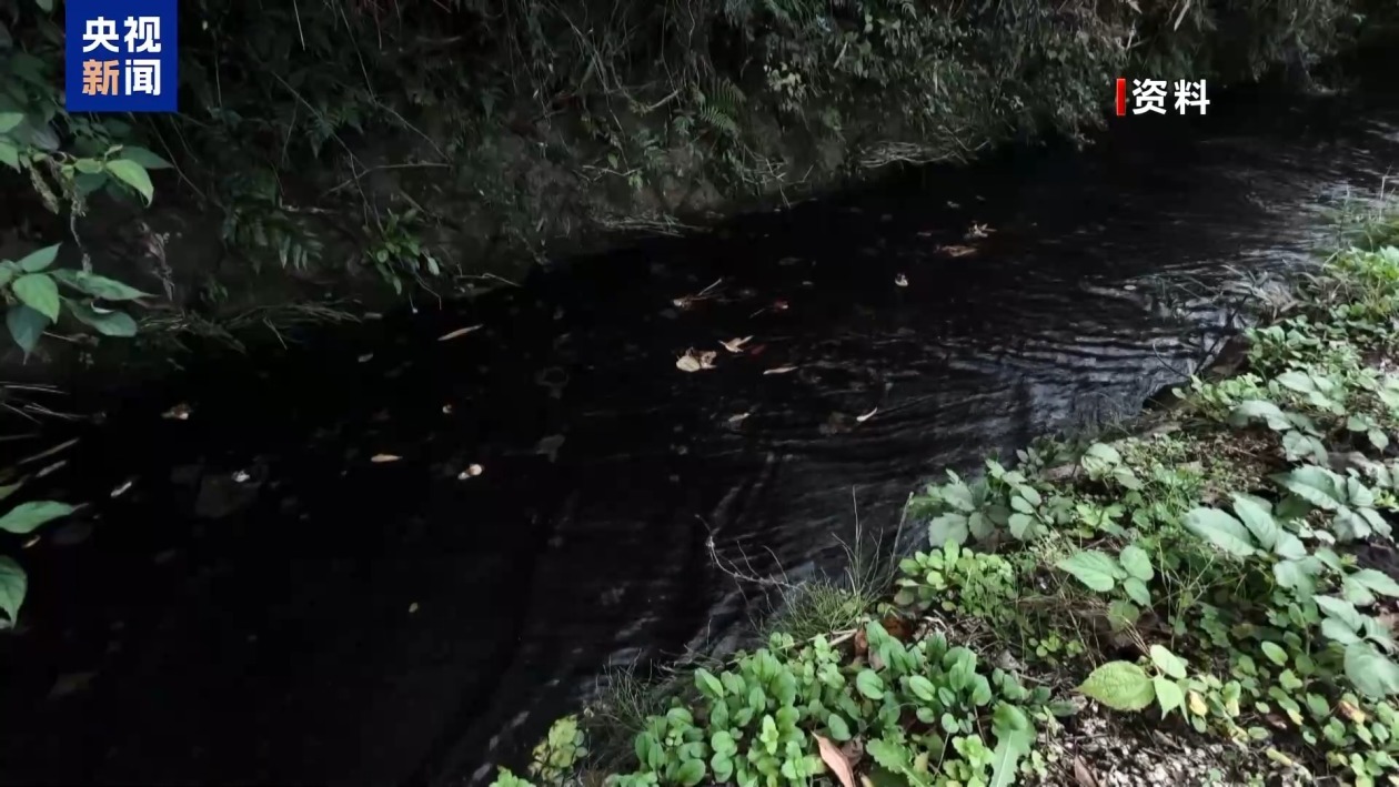 日本“永久性化学物”参考摄入标准制定遭质疑