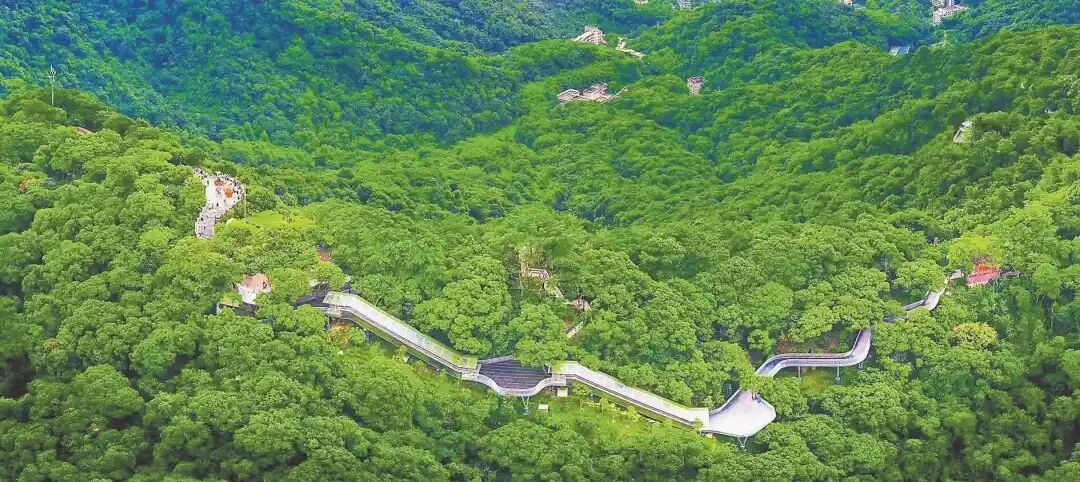 一线串三山!广州140公里森林步道下月全面竣工开放 一线串三山!广州140公里森林步道下月全面竣工开放