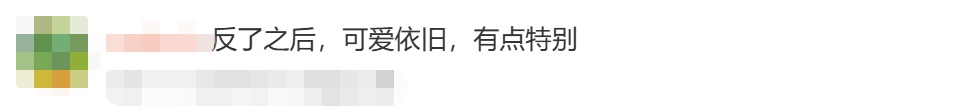 卖爆了！“哭哭马”意外走红，商家：不涨价，开了十几条生产线