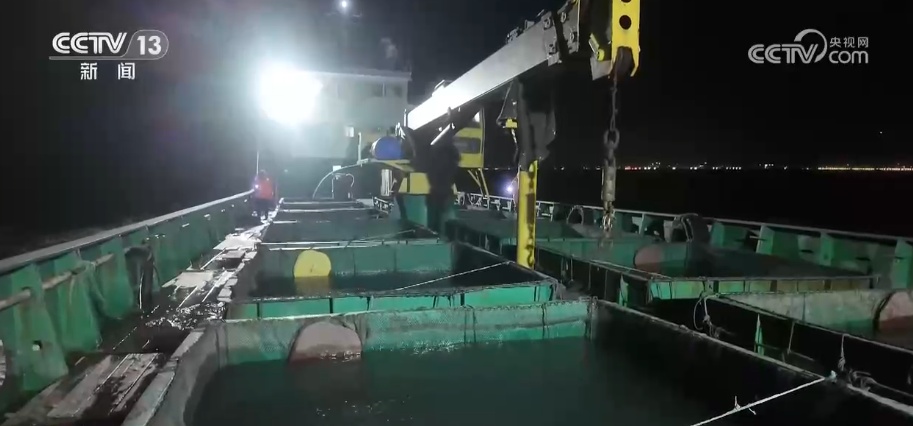 “智慧化养殖+保姆式服务”加速丰盈“蓝色粮仓” 海洋经济释放强劲动能