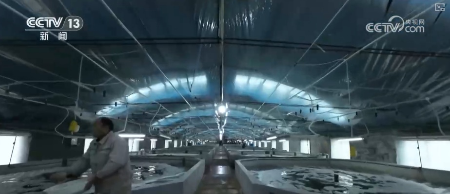 “智慧化养殖+保姆式服务”加速丰盈“蓝色粮仓” 海洋经济释放强劲动能