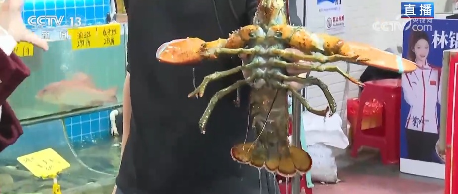 特色市集丰富节前市场 品质升级、暖意涌动点亮节前消费新图景