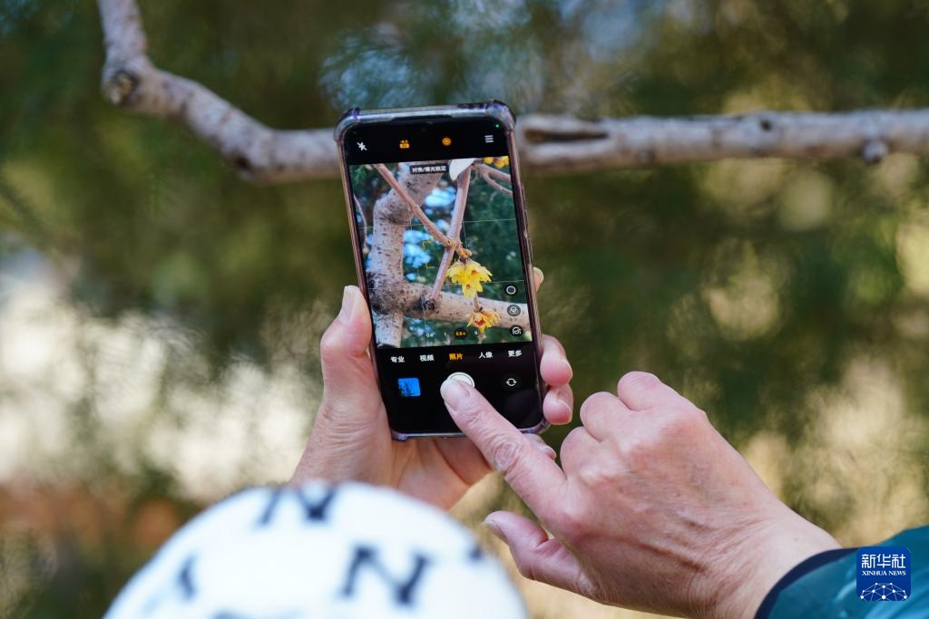 北京卧佛寺:古刹寻梅 北京卧佛寺:古刹寻梅