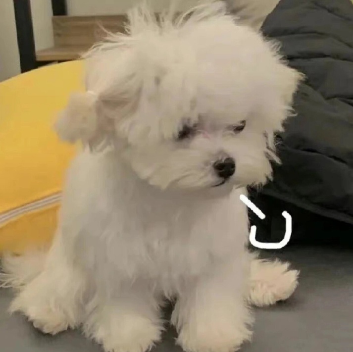 “我是不是活不了了！”培训机构外出传出女孩哭诉声