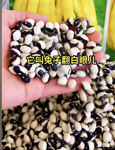 东北有一种豆角叫“兔子翻白眼”引热议，厂家回应：外形像兔子眼睛
