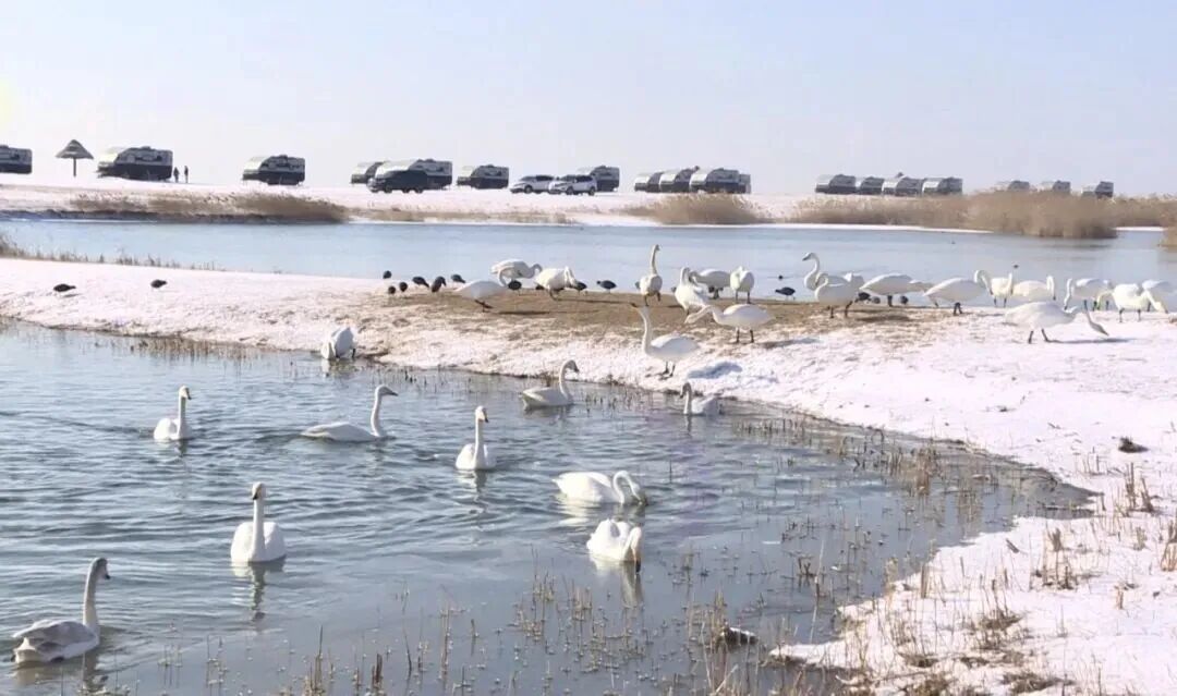 “雪窝子”威海冲上热搜！这场特大暴雪为何这么厉害？还会有吗？