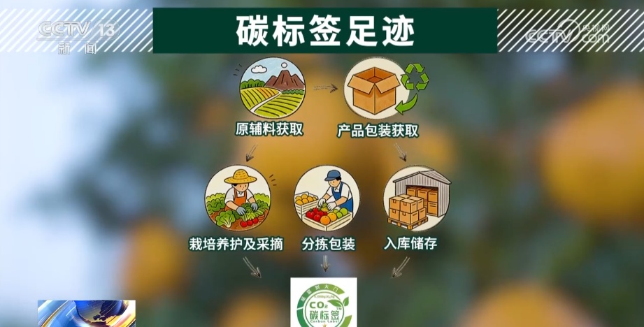 科技加持让致富果“甜”上加“值” “颜值关”叠加“低碳关”成为农产品过硬竞争力