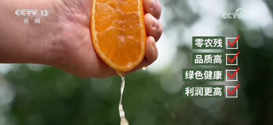 科技加持让致富果“甜”上加“值” “颜值关”叠加“低碳关”成为农产品过硬竞争力