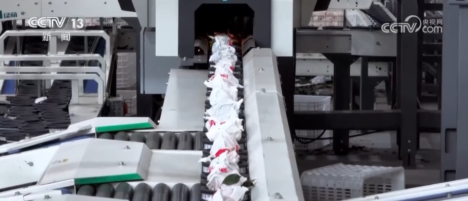 科技加持让致富果“甜”上加“值” “颜值关”叠加“低碳关”成为农产品过硬竞争力