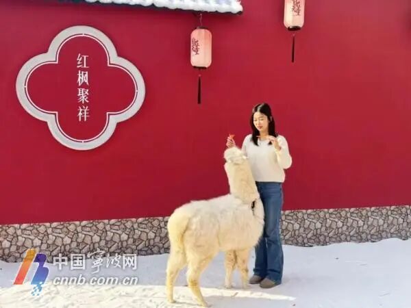 宁波首座地铁口庭院开放,每逢整点还有人造雪花 宁波首座地铁口庭院开放,每逢整点还有人造雪花