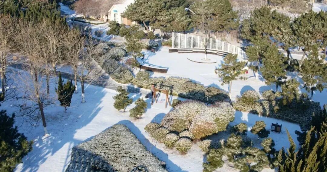 “雪窝子”威海冲上热搜！这场特大暴雪为何这么厉害？还会有吗？