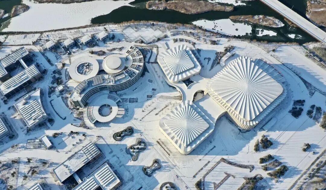 “雪窝子”威海冲上热搜！这场特大暴雪为何这么厉害？还会有吗？