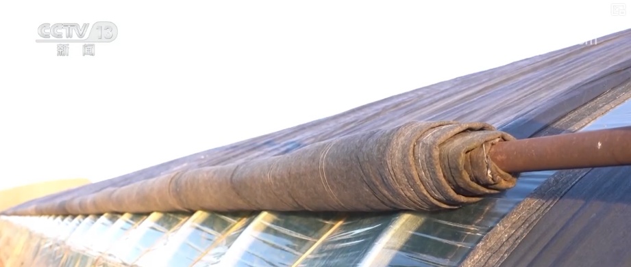 迎“寒”而上守护“温度” 细化服务“组合拳”确保百姓温暖过冬