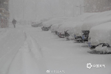 威海的雪下到模糊