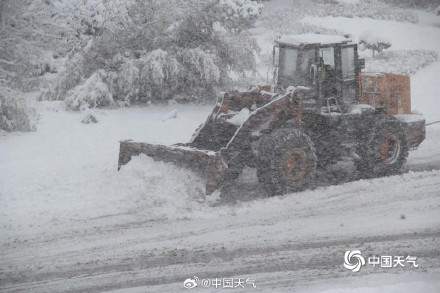 威海的雪下到模糊