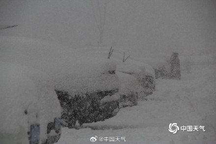 威海的雪下到模糊