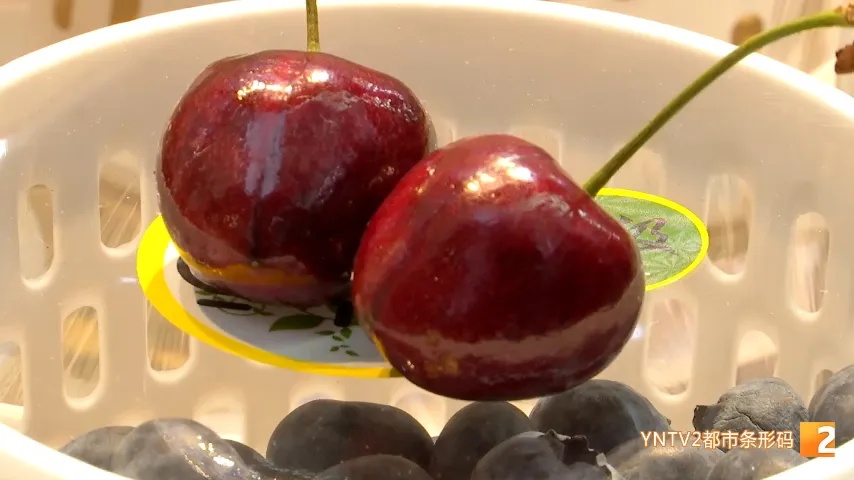 吃车厘子能助眠?医生:果肉里的褪黑素不易吸收 吃车厘子能助眠?医生:果肉里的褪黑素不易吸收