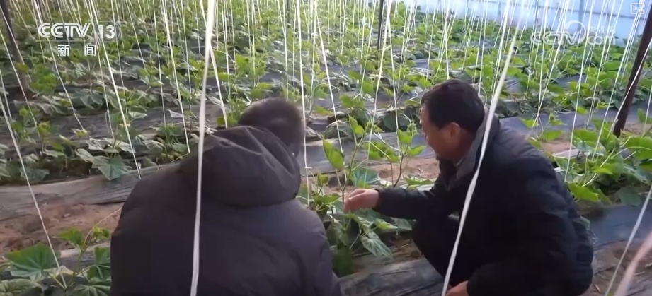 迎“寒”而上守护“温度” 细化服务“组合拳”确保百姓温暖过冬