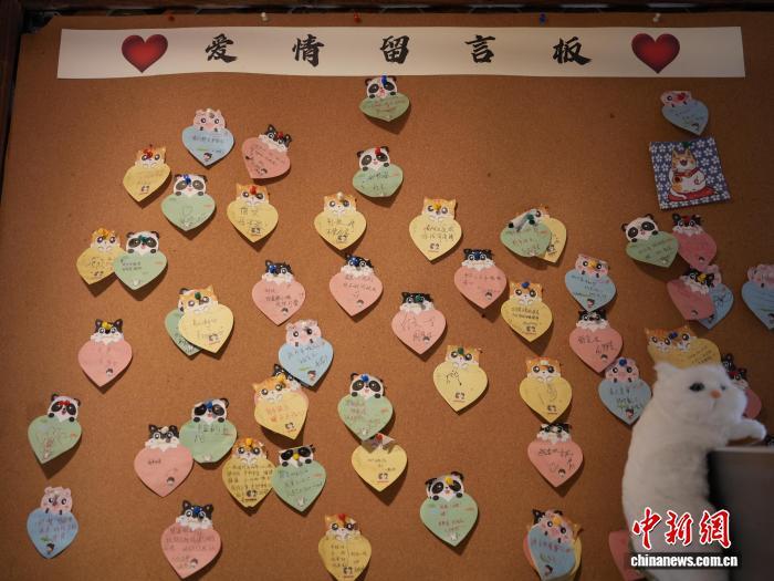 从卤肉饭到“月老墙” 台湾大伯伯的贵阳温情驿站