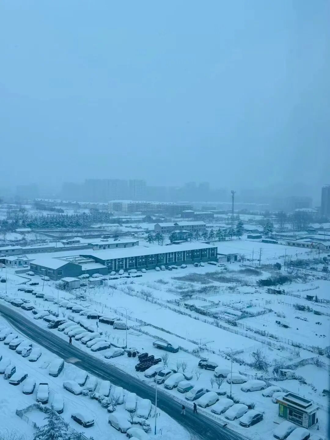 烟台市气象台发布暴雪黄色预警！