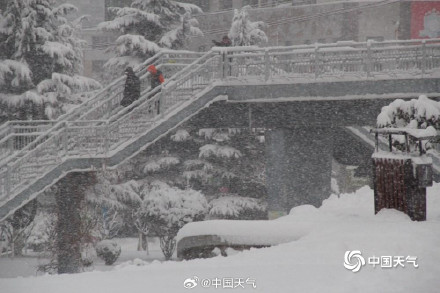 威海的雪下到模糊