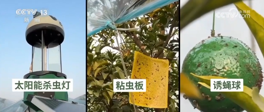 科技加持让致富果“甜”上加“值” “颜值关”叠加“低碳关”成为农产品过硬竞争力