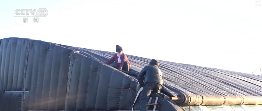 迎“寒”而上守护“温度” 细化服务“组合拳”确保百姓温暖过冬