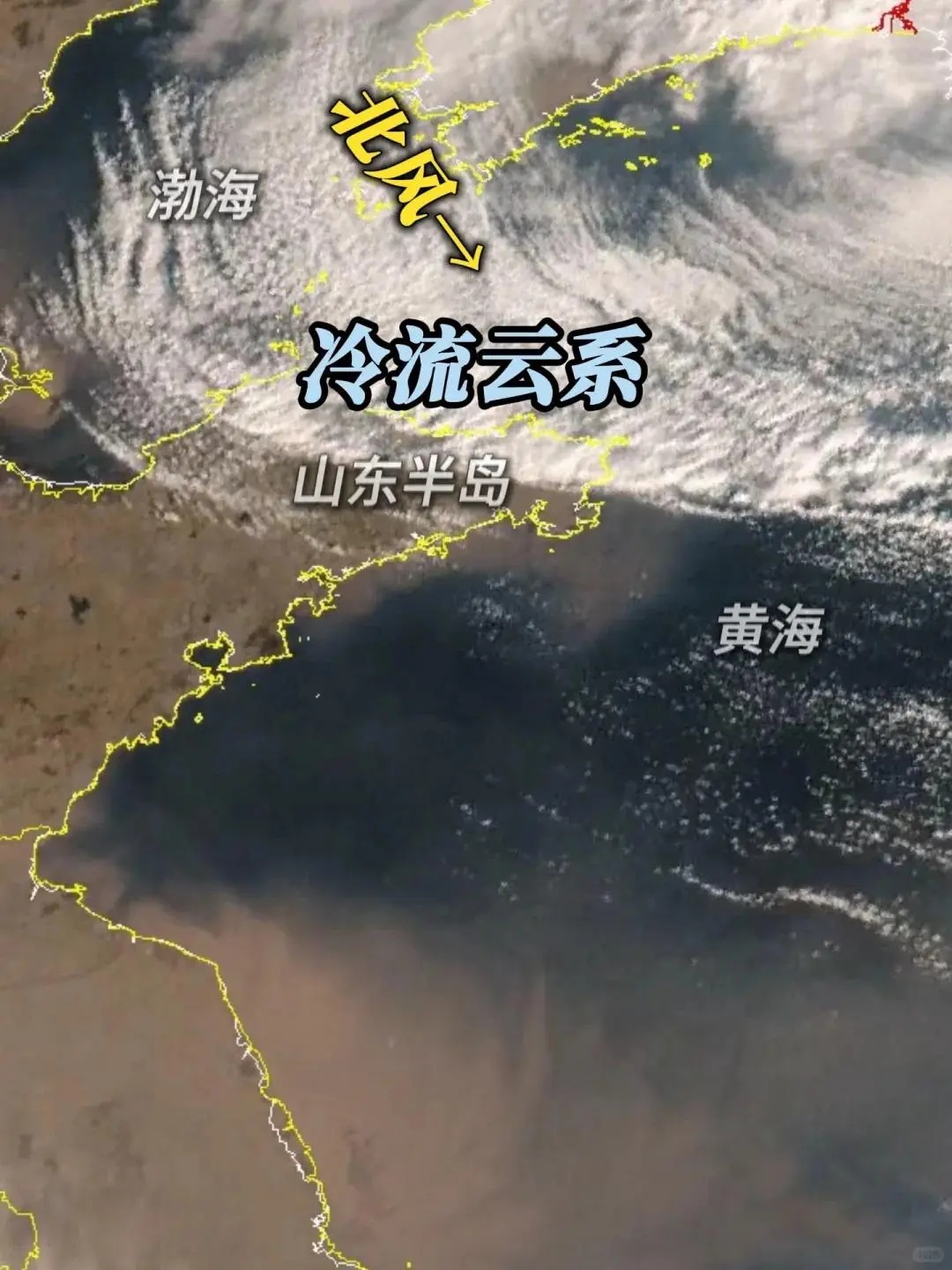 “雪窝子”威海冲上热搜！这场特大暴雪为何这么厉害？还会有吗？