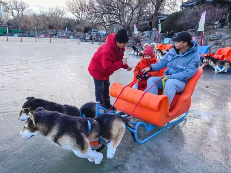 紫竹院公园冰场开放啦!全年龄段冰上项目齐活 紫竹院公园冰场开放啦!全年龄段冰上项目齐活