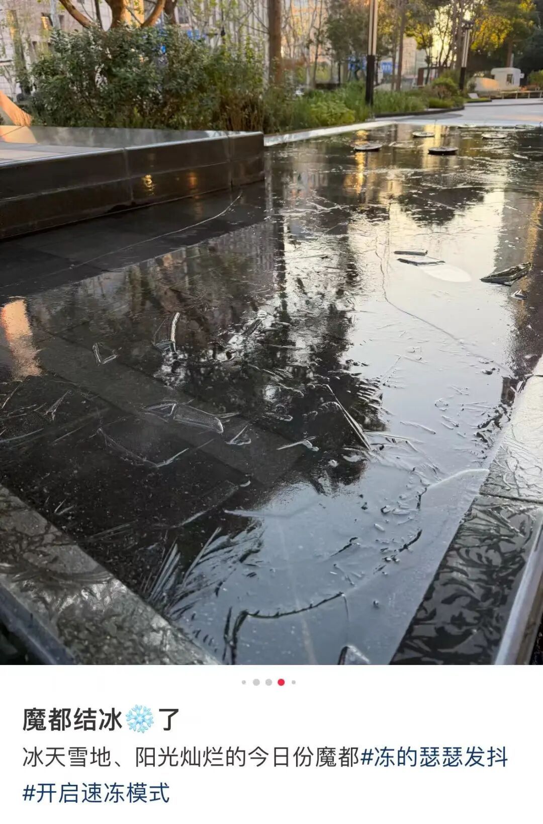 上海人注意，下周气温变化很“刺激”！明天最低-5℃，然后直奔20℃…