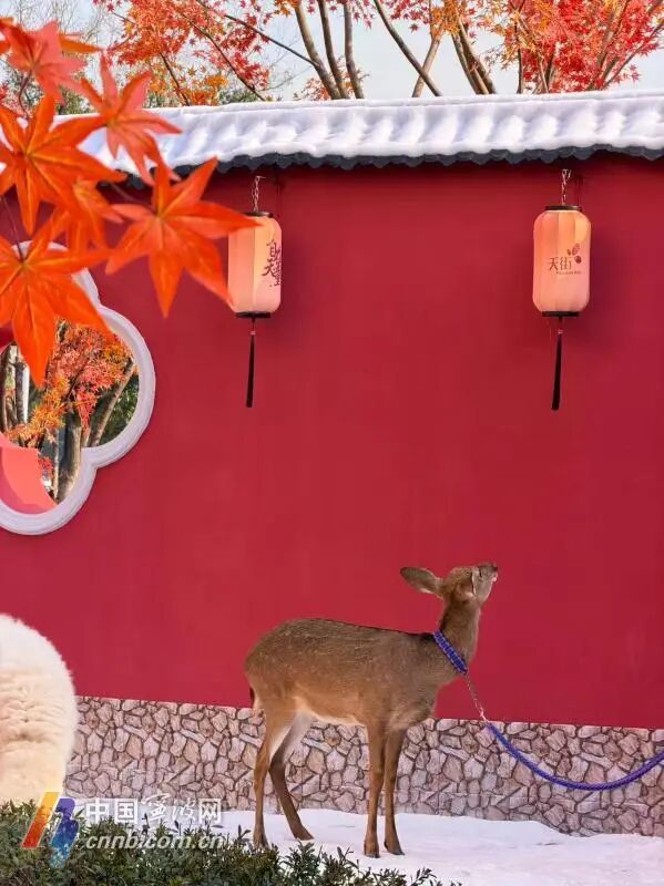 宁波首座地铁口庭院开放,每逢整点还有人造雪花 宁波首座地铁口庭院开放,每逢整点还有人造雪花