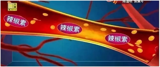 “性价比最高”的蔬菜!抗衰老、稳血压、燃脂肪,每周吃3次就够 “性价比最高”的蔬菜!抗衰老、稳血压、燃脂肪,每周吃3次就够