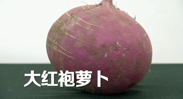 萝卜被称作“小人参”！可惜很多人都没吃对，白白浪费了营养→