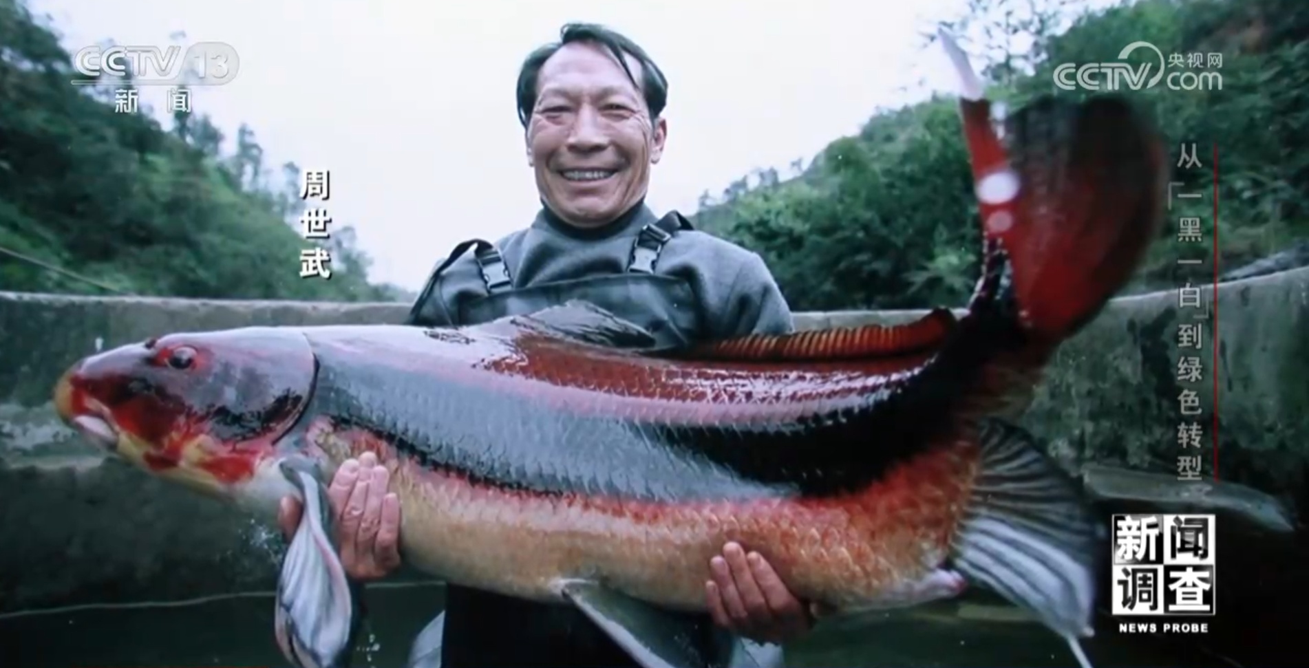 从“一黑一白”到绿色转型 看四川宜宾如何破局