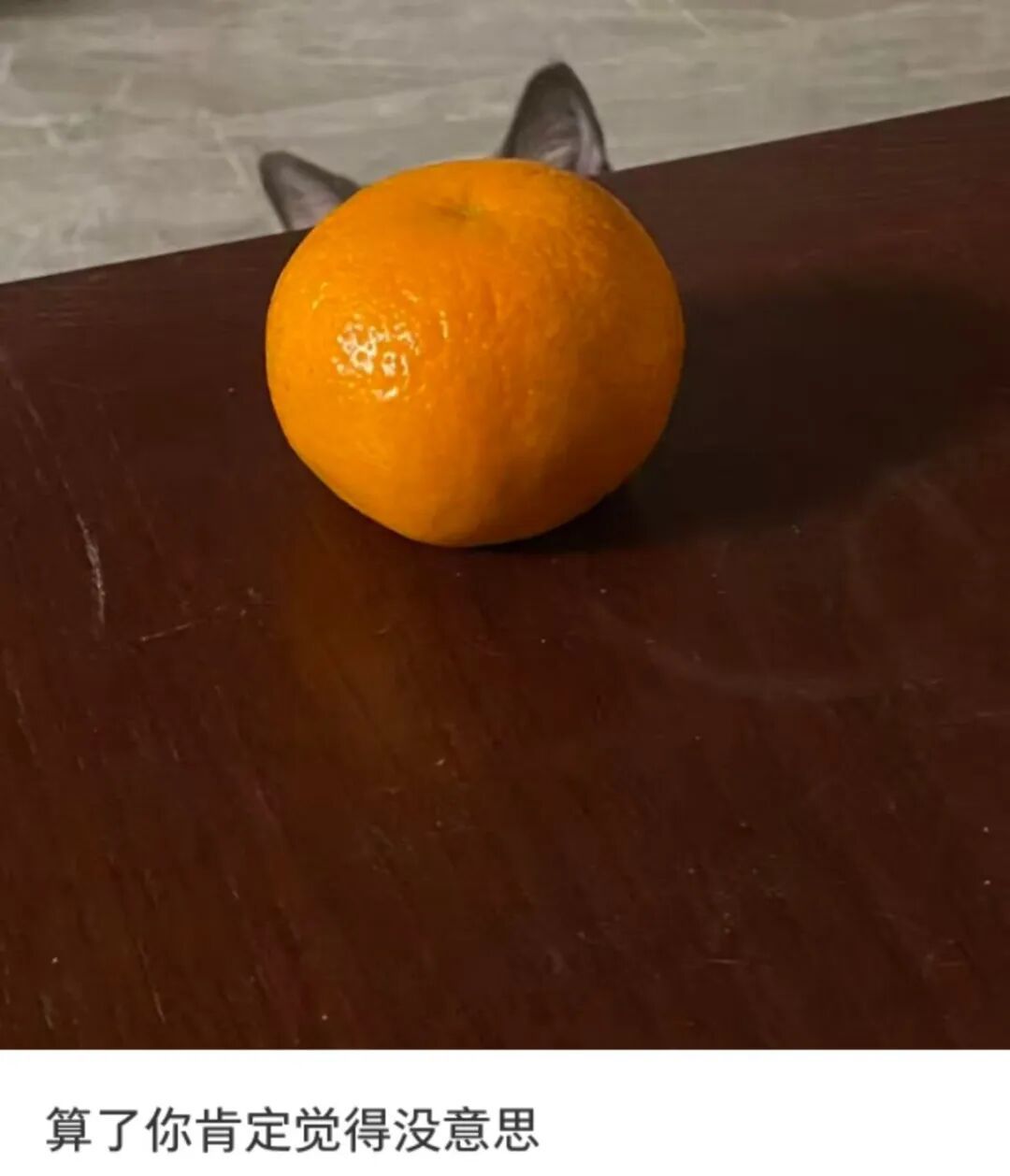 妈妈：你怎么挑的白菜？我：我挑着最开心的买的……