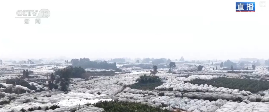 科技加持让致富果“甜”上加“值” “颜值关”叠加“低碳关”成为农产品过硬竞争力