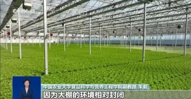 “艾叶加陈醋，神仙都让路”？表面做着科普，实际全是套路！