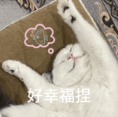 特别的“同款”照！女孩穿上妈妈儿时的衣服拍照 网友：像一场时空对话