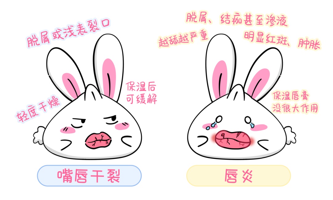 告别无效补水！秋冬皮肤干燥不仅是缺水，更是屏障“破防” 了